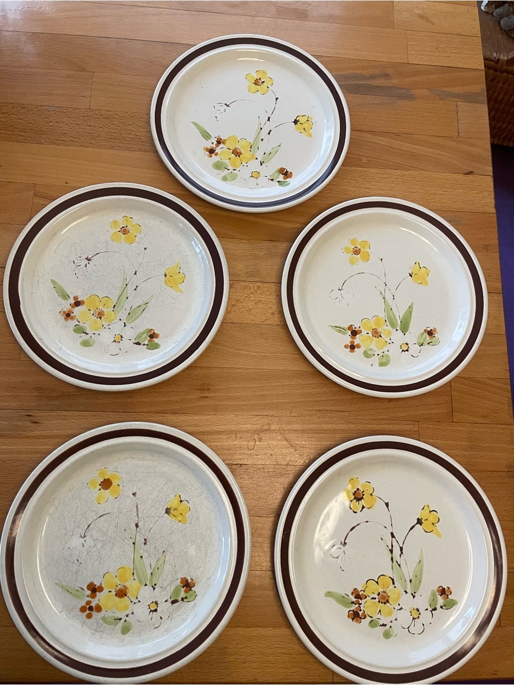 Yellow Floral Stoneware Salad Plates with Brown Rim - Set of 5
